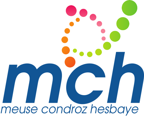 MCH-Economie